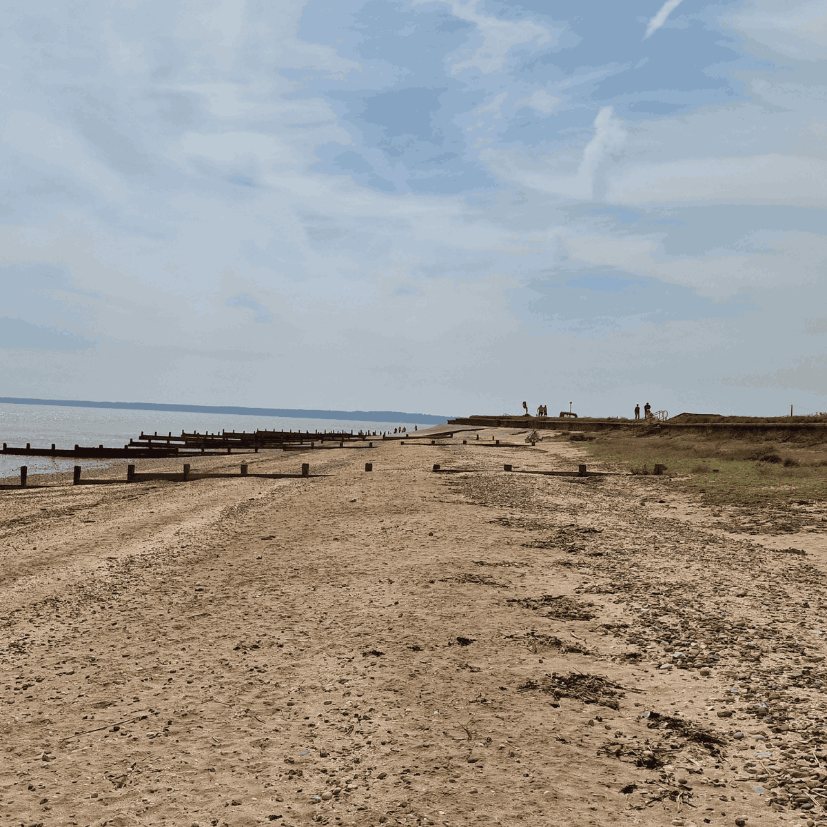 HH Global tweet media