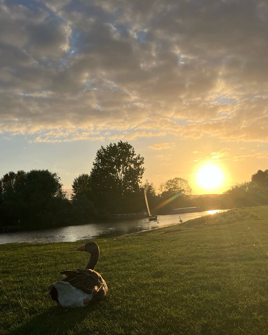 mhauser_author's tweet image. Night out Oxford.  🐂