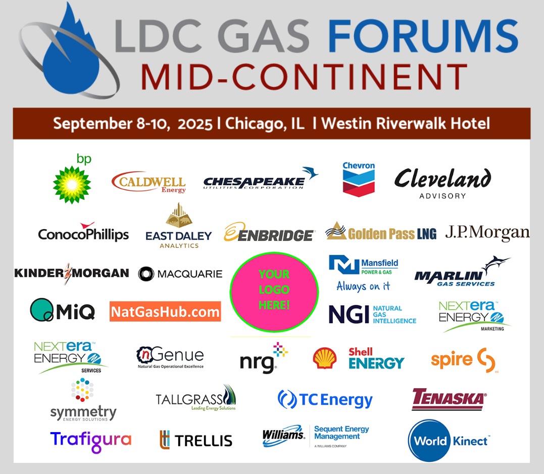There’s still time to Sponsor! These companies are seizing the opportunity to stand out at the premier event where the entire NatGas industry comes together to make real business happen🙌 Website: lnkd.in/e_uGVatv
#energy #naturalgas #lng #datacenters #ldcgasforums