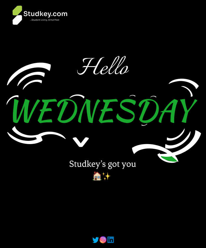 UseStudkey's tweet photo. Hello Wednesday 🌿
Midweek vibes:... assignments stressing? Studies stressing?
Don’t worry — at least your housing doesn’t have to. 🏠✨
@UseStudkey got you covered. Stay tuned, something exciting is coming. 👀
#HelloWednesday
#Studkey
#NoStressHousing https://t.co/3pFaR4CuWv