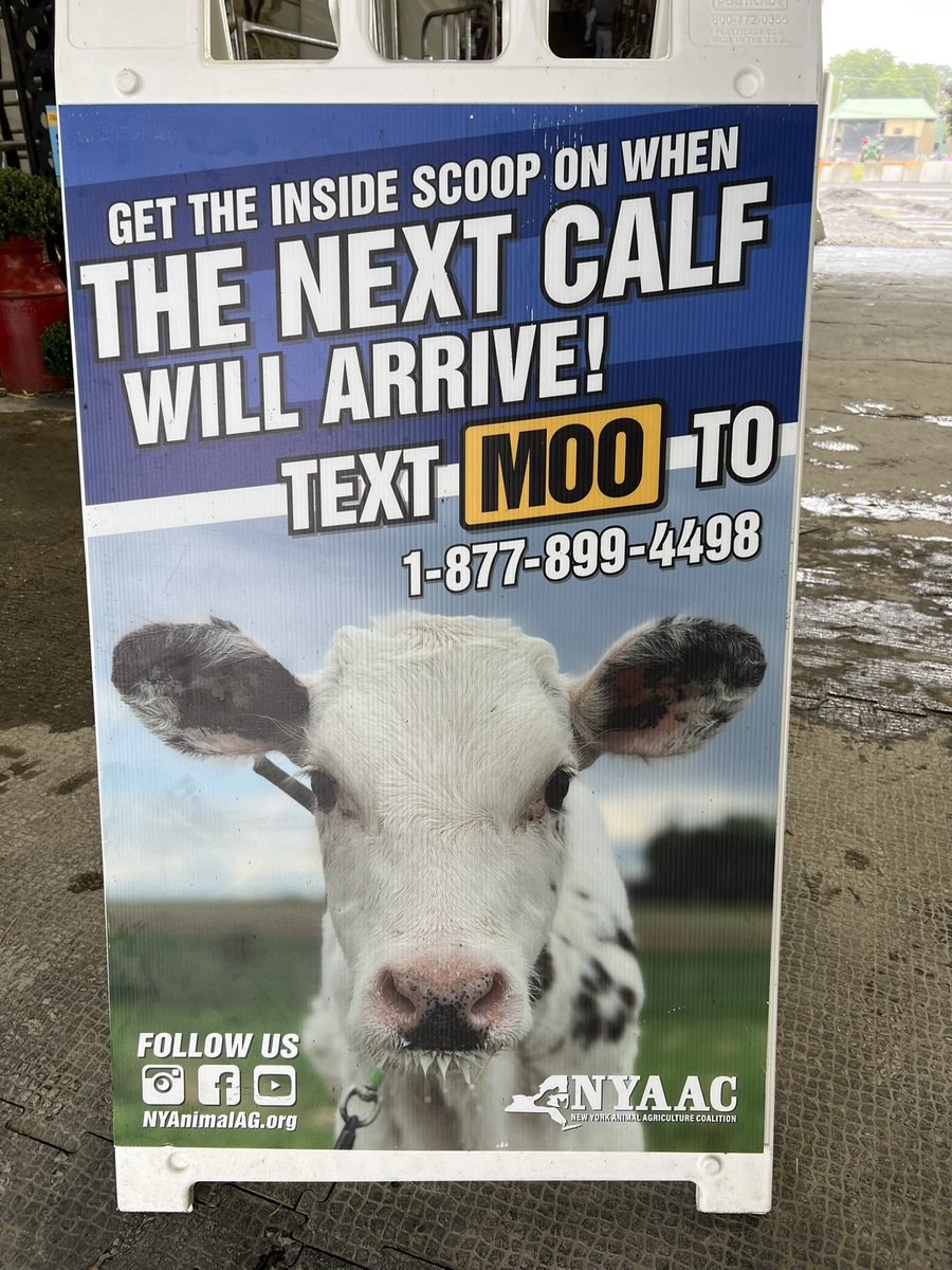 Don’t forget!! Text MOO to 1-877-899-4498 to stay up to date with uddermiracles! We send out text messages when we see a calf coming! #uddermiracles #uddermiracle  #dairycowbirthingcenter #advocateforag #dairy #milk #dairycows #dairyfarm