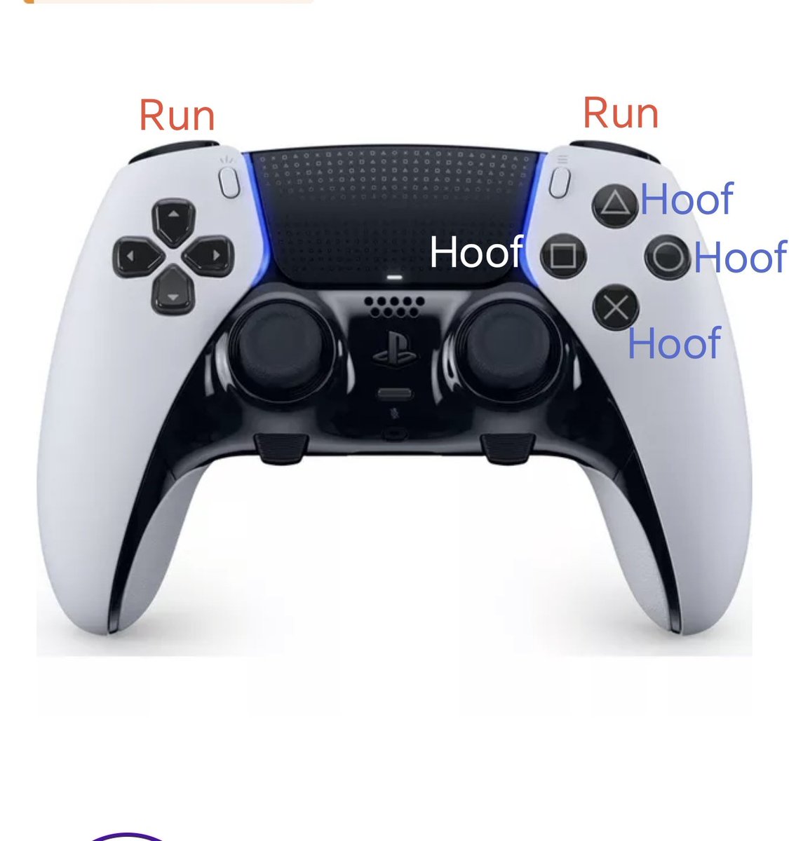 CryptoaaService's tweet image. Just found out how Noel Hunt runs training at Reading
#readingfc #huntout