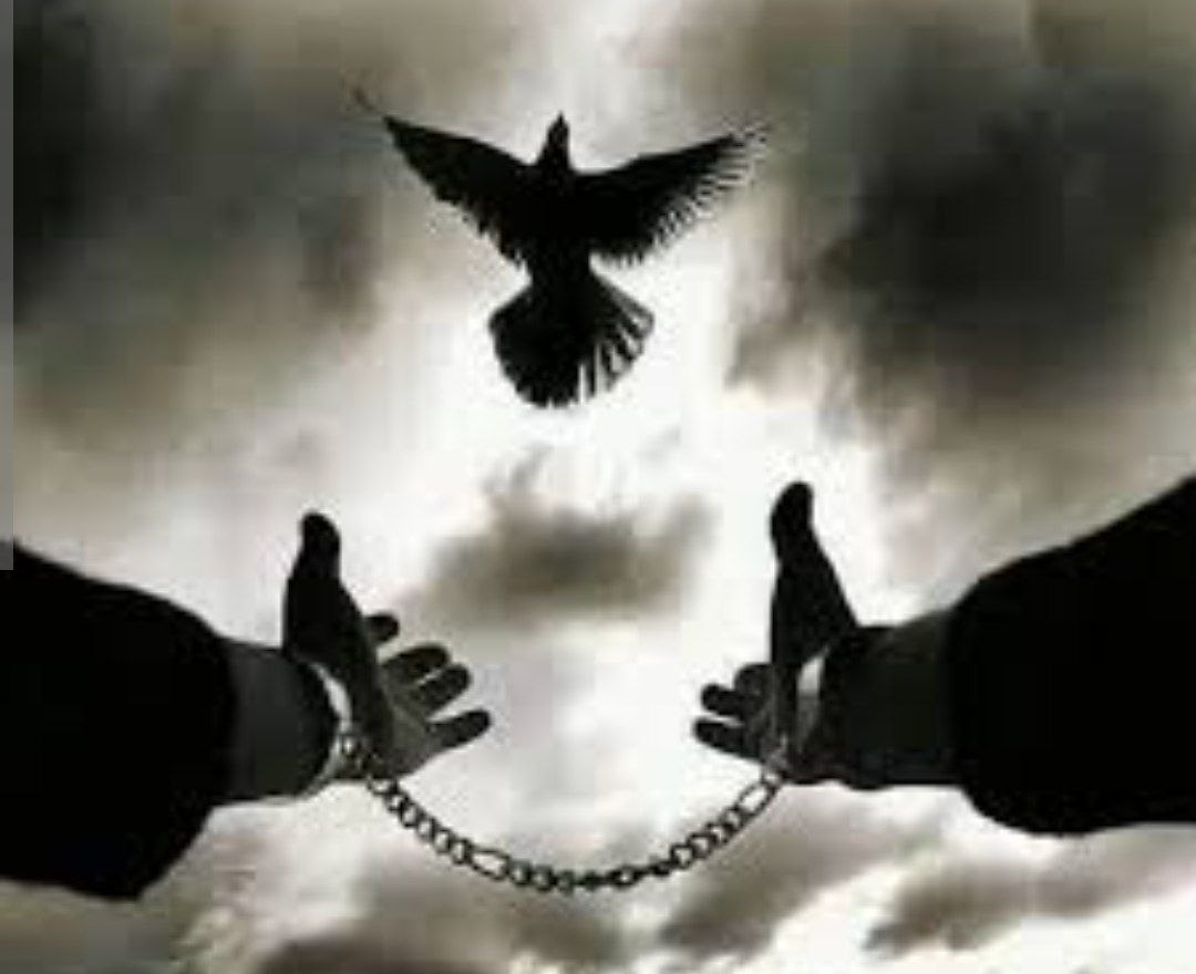 H.M (@44ll74) on Twitter photo . 
لا تخبر أحدًا بنقطة ضعفك،
احتفظ بما يُوجعك، وداوه بصمت،
فالقوة أحيانًا...
 أن تَظهر ثابتًا، وإن كنت تتألم... . 
لا تخبر أحدًا بنقطة ضعفك،
احتفظ بما يُوجعك، وداوه بصمت،
فالقوة أحيانًا...
 أن تَظهر ثابتًا، وإن كنت تتألم...
