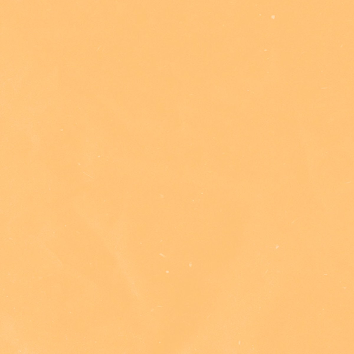 ‍ ‍＊𝐌𝐈𝐒𝐇𝐀 tweet media