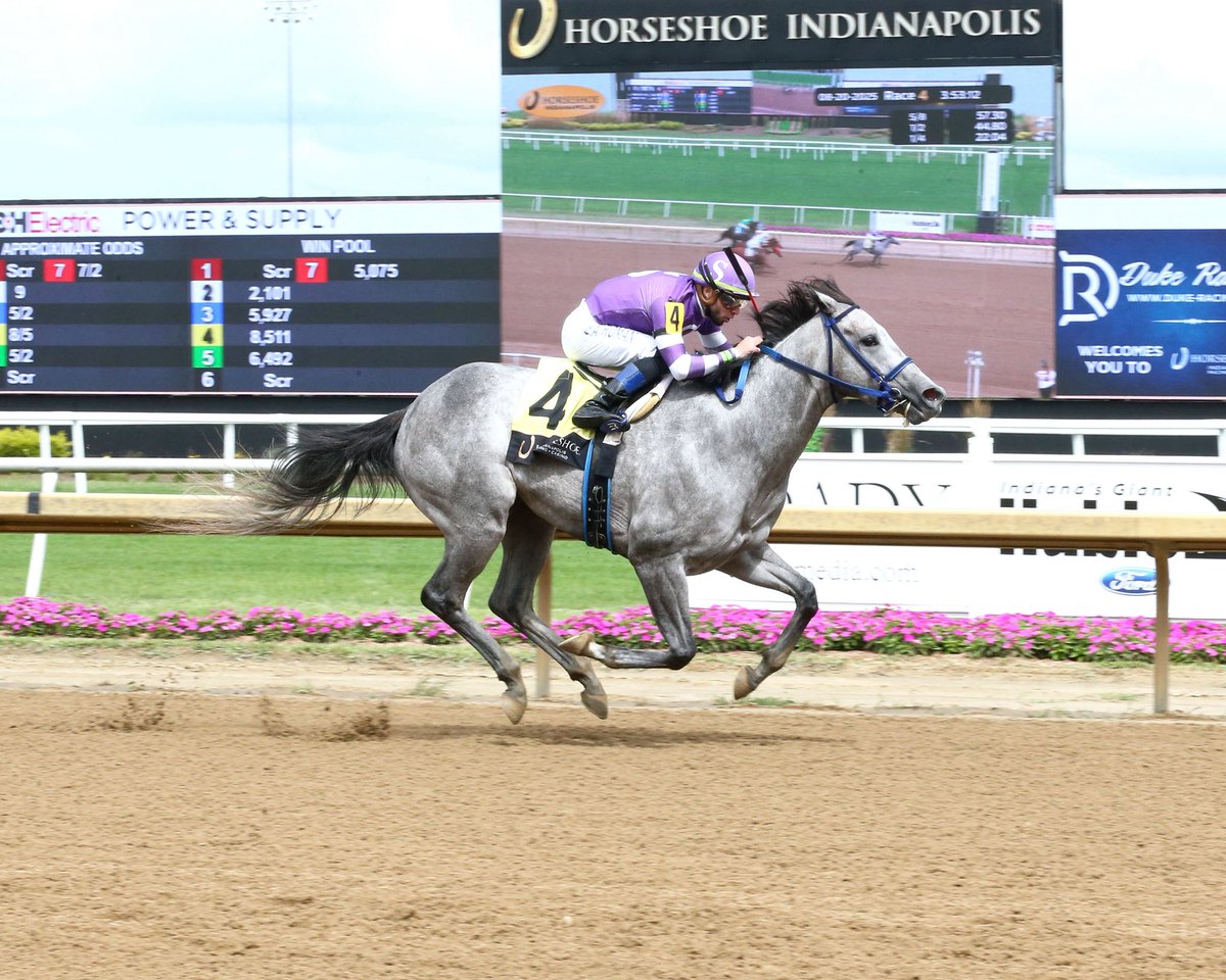 John G. Dooley (@johngdooley) on Twitter photo If you bet the gray on this cloudy day <a href="/HSIndyRacing/">Horseshoe Indianapolis Race Course</a> ⦠Winner!
The Ind-bred WERK IT WENDY ($5.40) was the speed of the speed and holds Shanghai Express late to win the F&M Sprint with <a href="/E_RomanOfficial/">Evin RomÔn Official</a> for Rob Dobbs, Jr. & Millard R. Seldin Revocable Trust in 1:11.06 (Fast). If you bet the gray on this cloudy day <a href="/HSIndyRacing/">Horseshoe Indianapolis Race Course</a> ⦠Winner!
The Ind-bred WERK IT WENDY ($5.40) was the speed of the speed and holds Shanghai Express late to win the F&M Sprint with <a href="/E_RomanOfficial/">Evin RomƔn Official</a> for Rob Dobbs, Jr. & Millard R. Seldin Revocable Trust in 1:11.06 (Fast).
