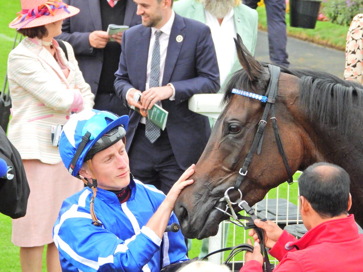 Racing South West (was South West Racing Club) (@racingsouthwes1) on Twitter photo SANTORINI STAR for <a href="/WilliamHaggas/">Somerville Lodge Stables</a> and <a href="/TomMarquand/">Tom Marquand</a> win the 2 mile handicap <a href="/yorkracecourse/">York Racecourse</a> SANTORINI STAR for <a href="/WilliamHaggas/">Somerville Lodge Stables</a> and <a href="/TomMarquand/">Tom Marquand</a> win the 2 mile handicap <a href="/yorkracecourse/">York Racecourse</a>
