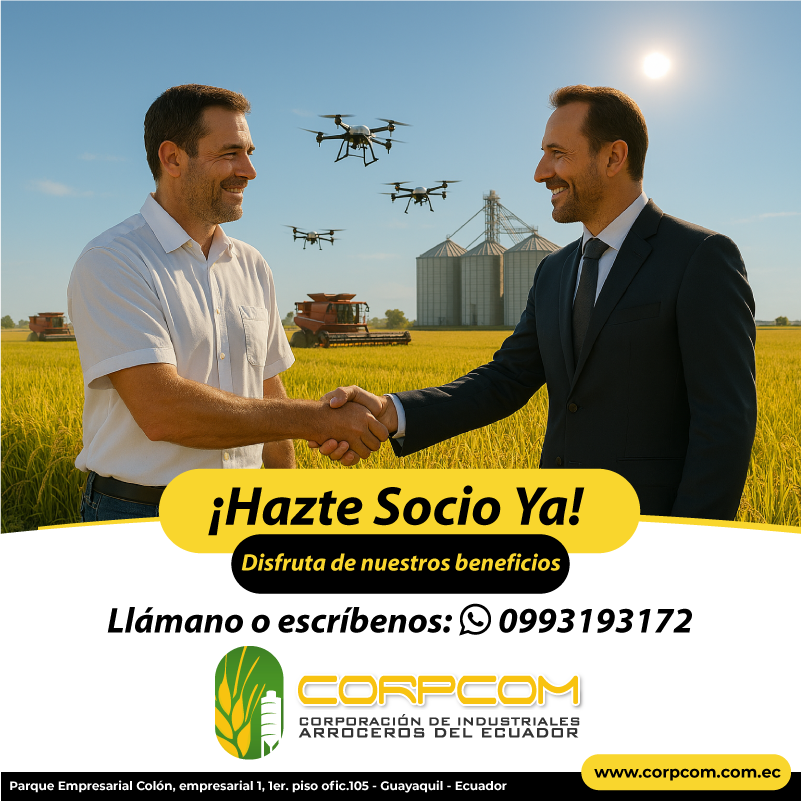 ¡Hazte Socio Ya! 📲 099 319 3172
Disfruta de nuestros beneficios:

#Arroz #Ecuador #arrozecuador #industriasecuador