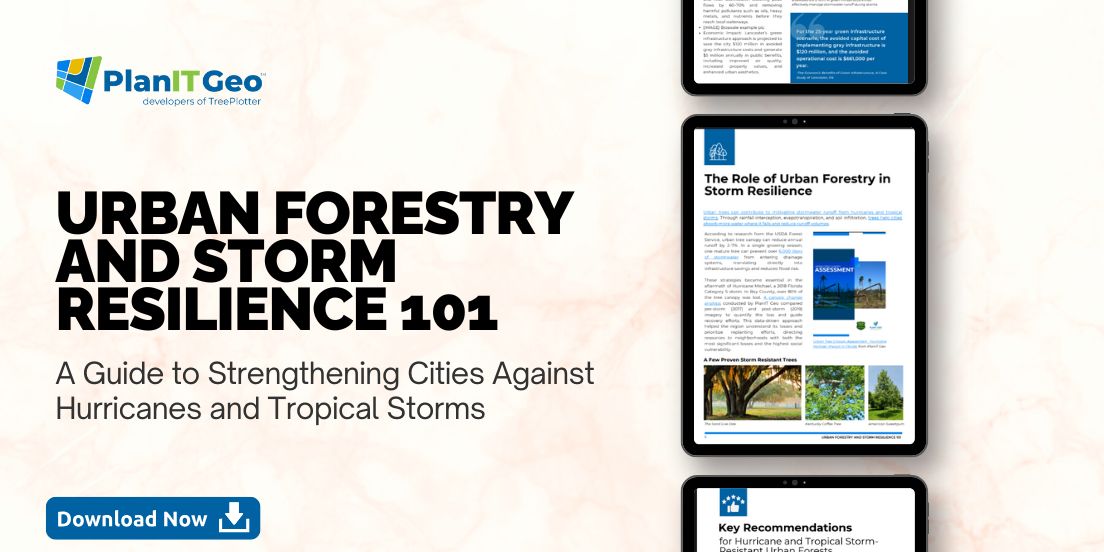 Cities are confronting stronger, faster, and more unpredictable storms than ever. Here's practical, evidence-based guide to strengthening urban forests in the face of storms.  #StormResilience #ClimateAdaptation #GreenInfrastructure #TreePlotter  bit.ly/3Hojop8