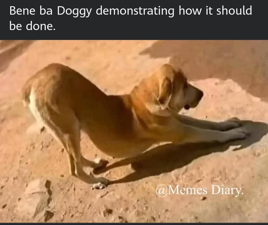 😂😂😂😂😂😂