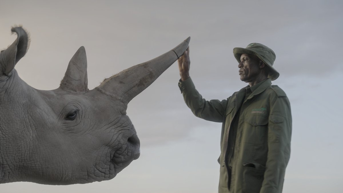 Don’t miss <a href="/NatGeo/">National Geographic</a> Channel’s new film, The Last Rhinos: A New Hope premiering this Sunday, August 24th. It intimately tells the story of a remarkable group of people fighting for the northern white rhino’s survival. 

Thread 👇