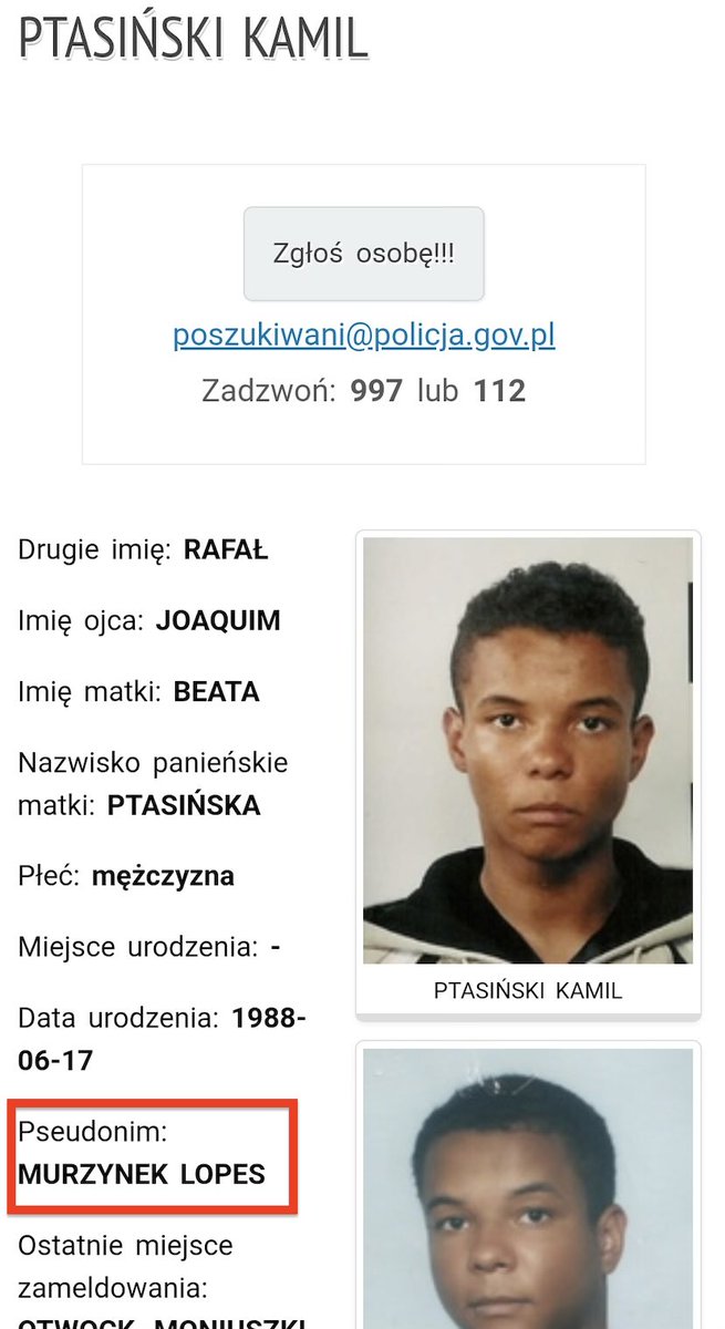 papież internetu tweet media