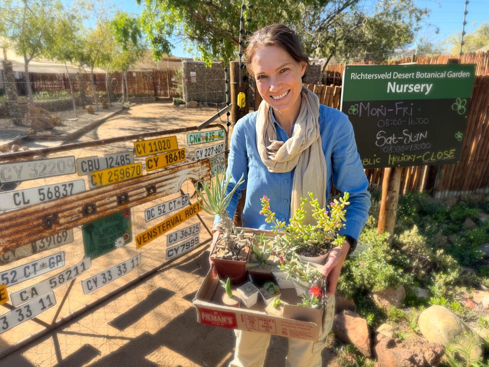 Dispatch From The Field:
It’s of course first prize to see the plants out in the wild, but what Pieter is showing me is critical for the long term survival of the Richtersveld biome. This is a living gene bank and stores both seeds and plants providing a backup…