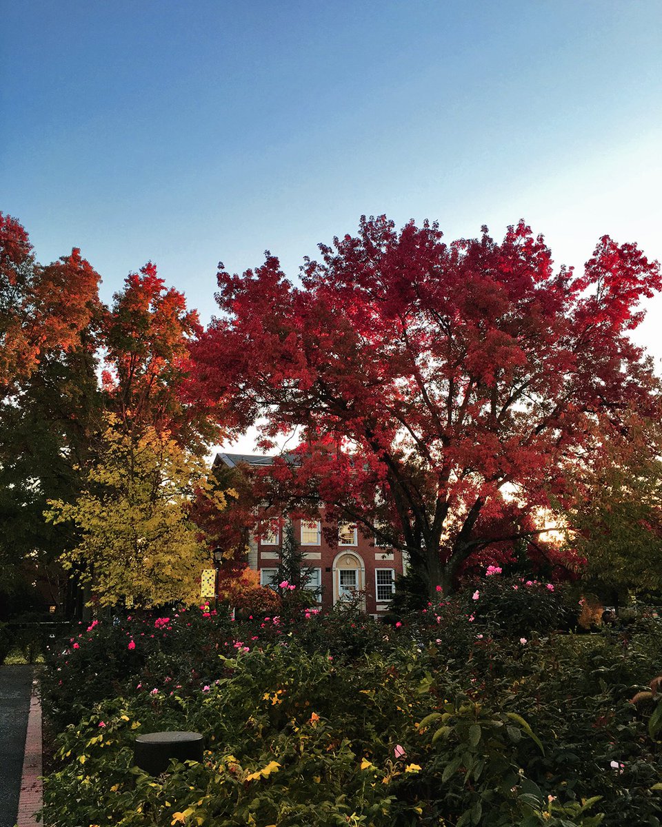 AdelphiWSB's tweet image. The Fall semester starts Monday! We look forward to seeing all of our Panthers back at the School of Business! What are you most excited for this semester?