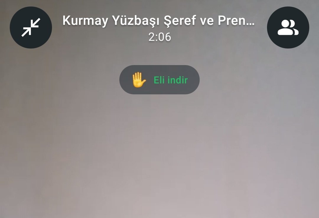 WhatsApp'te görüntülü toplantılara el kaldırma özelliği gelmiş. Yeni fark ettim. "Eli indir" biraz ofansif geldi 😁