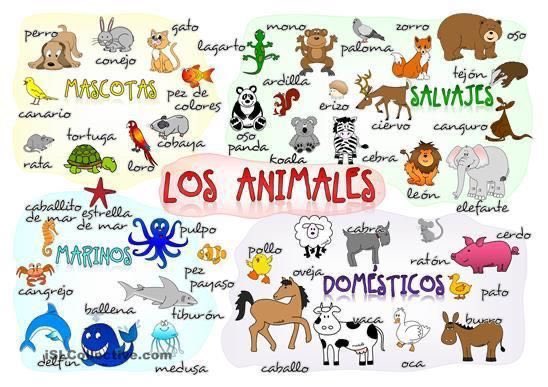 ¿Descanso? Los Apóstoles no conocemos esa calle, con todo a la tt!

Dinámica: Den rt y comenten los animales que ven en la imagen + la tt

#UlisesHostEnFDJ