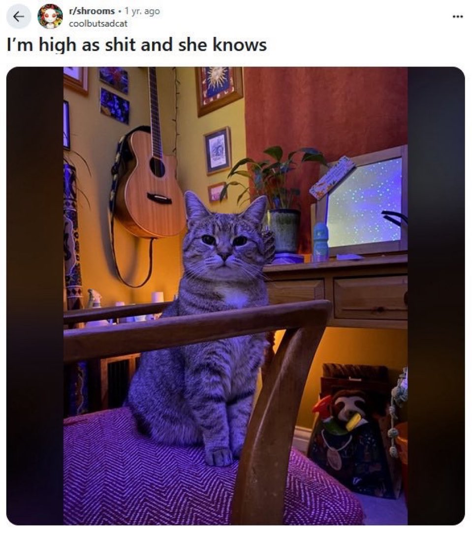 rare insults (@insultsraree) on Twitter photo 