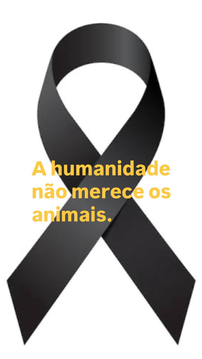 Lina (@linabsb) on Twitter photo 