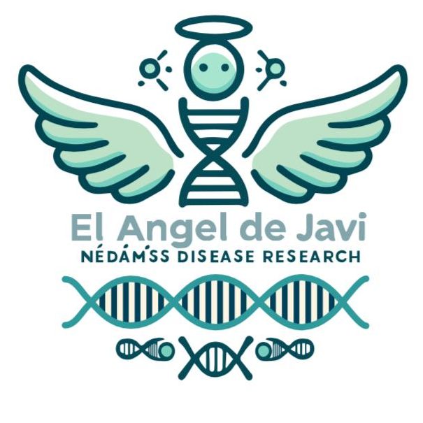 ⛰️ ¡Llega la XXII Carrera de Montaña Monte Naranco! 📅 Sábado 6 de septiembre 🕚 11:00 h. Abierta a soci@s y no soci@s 🙌. Y si no corres… ¡colabora desde casa con la Fila 0! 💙 Consigue tu dorsal en 👉 reservascao.com 🎉#SomosCAO