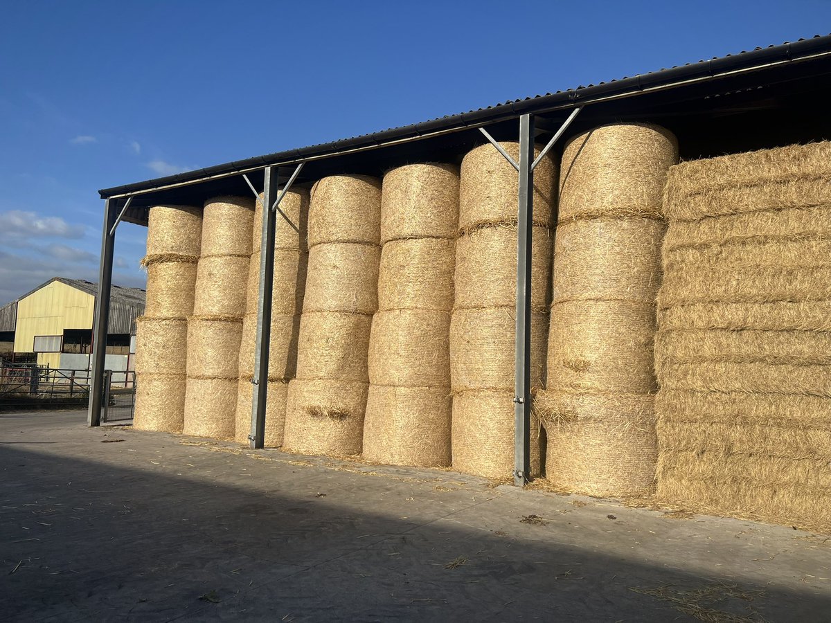 600 bales back, and stacked. Two more fields to clear and then job done. Has been a bit of a slog, but always very satisfying to see the sheds filling up!
