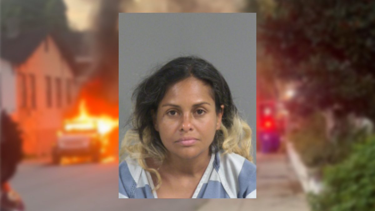 Tim Renaud tweet media