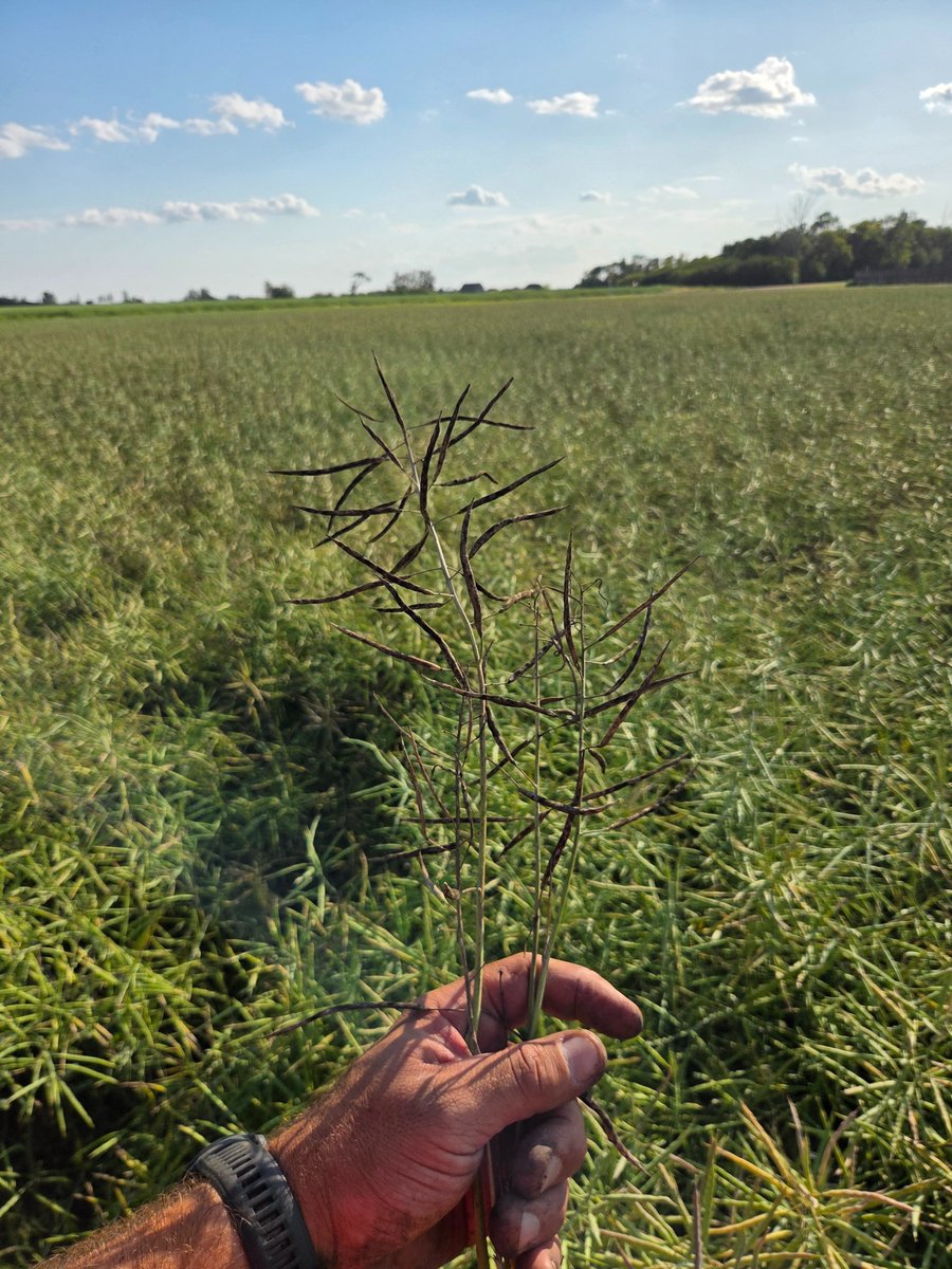 CW Jay Whetter tweet media