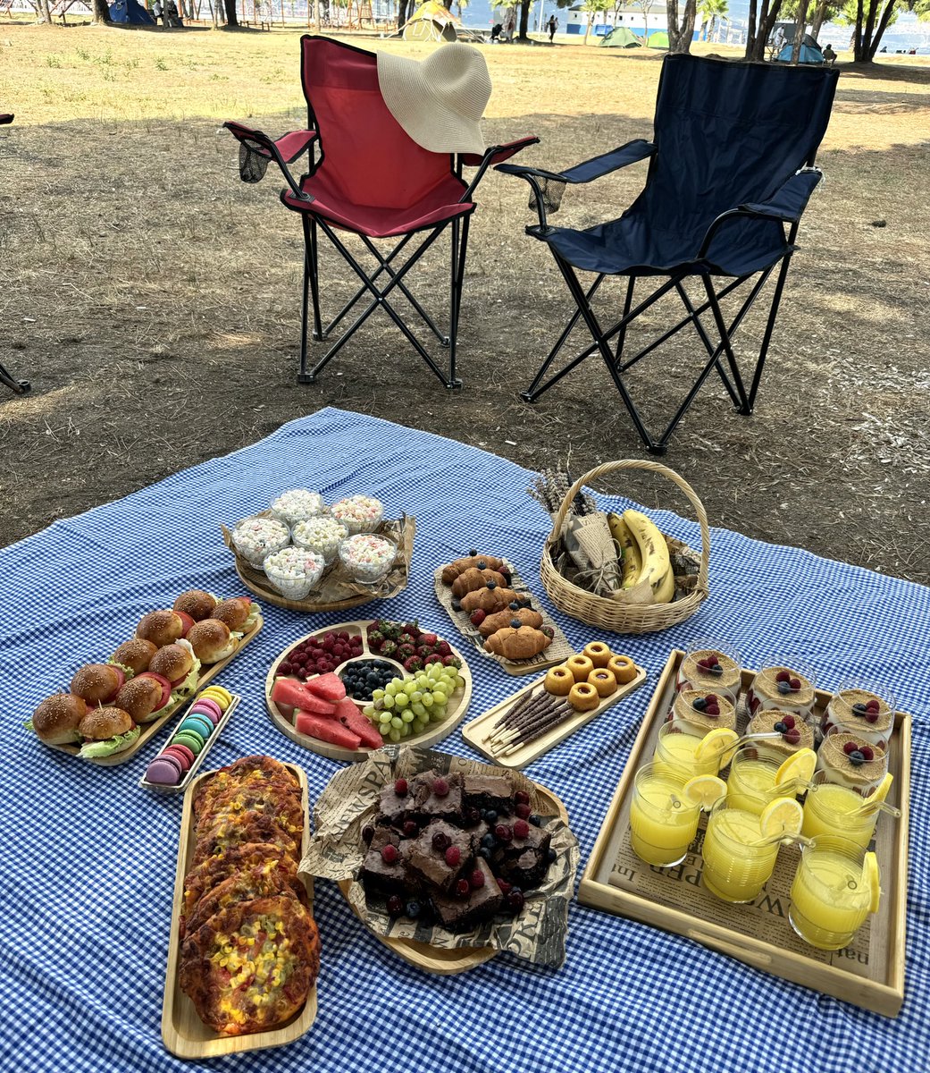 pinterest pikniği 🫐🍓