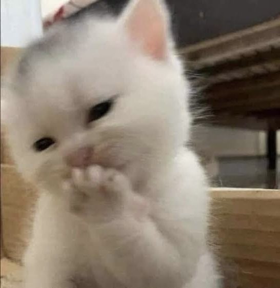 idyllicmode's tweet photo. https://t.co/d3HnTDXx52