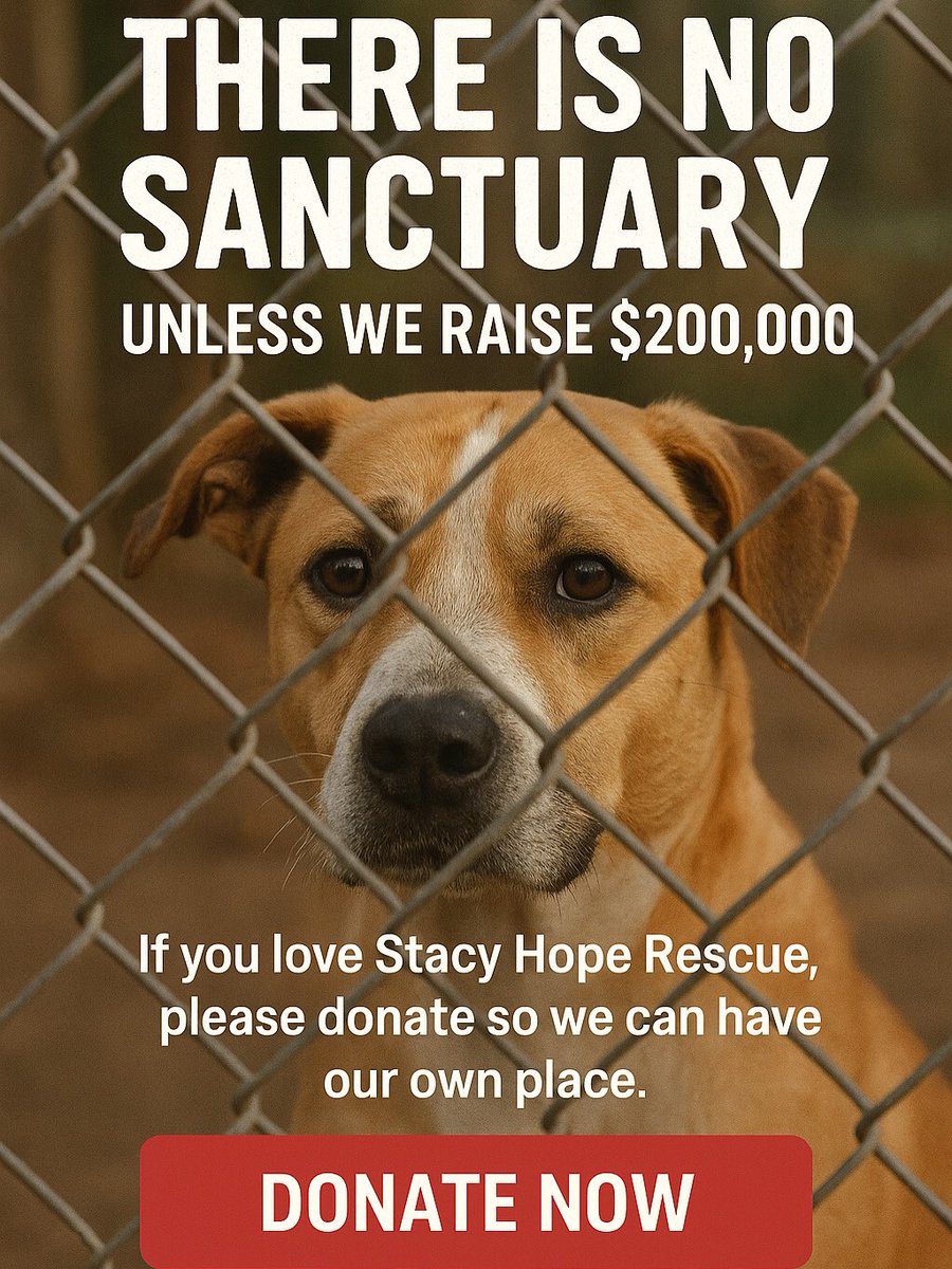 💔A while ago, when I first shared the dream of <a href="/StacyHopeRescue/">Stacy Hope Rescue</a> Sanctuary, so many of you cheered us on &amp; congratulated us. It meant the world. But I think there’s been a big misunderstanding…

👉 There is no sanctuary yet.
👉 There will be no sanctuary unless we raise at least