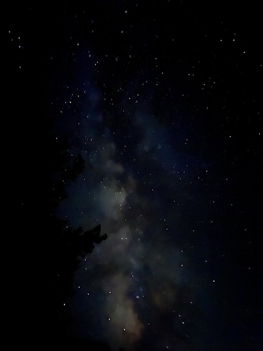 V_irvin_V's tweet image. This is what they took from US !!!