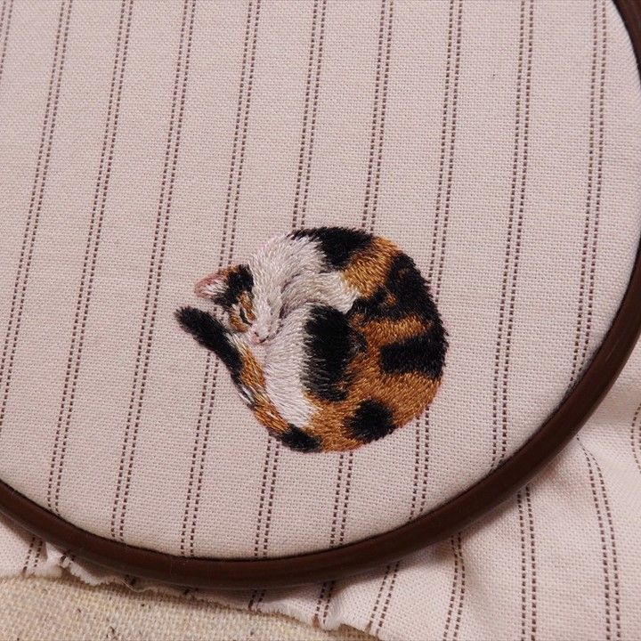 only cute things (@cutedreamvibes) on Twitter photo 