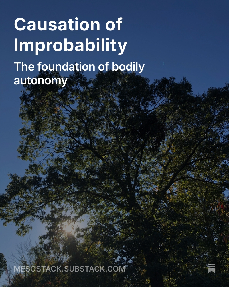 Fourth of a series. Not sure how many there will be.
mesostack.substack.com/p/causation-of…