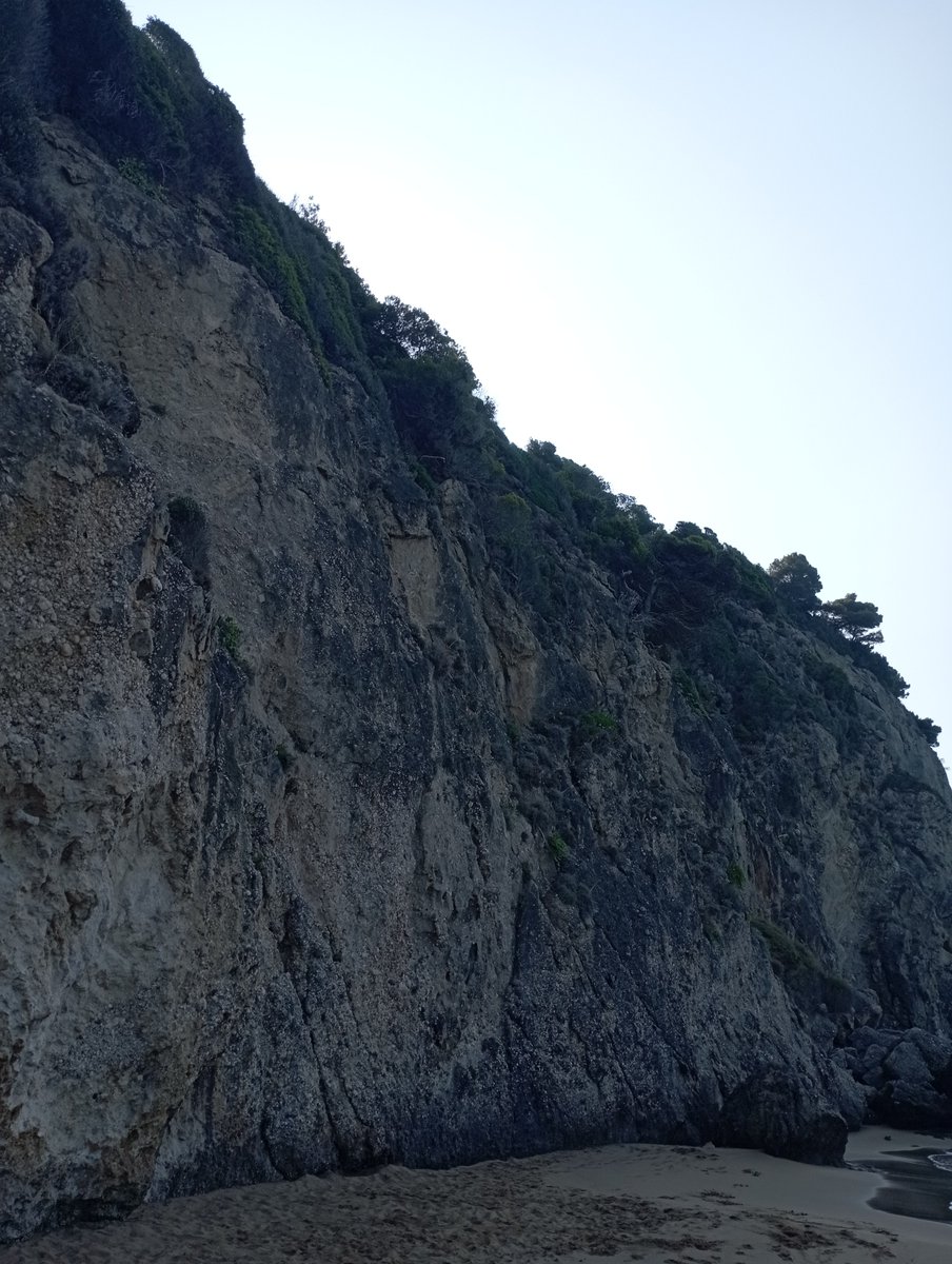ardin_be's tweet photo. Μυρτιώτισσα #Corfu https://t.co/TXPerSn17b