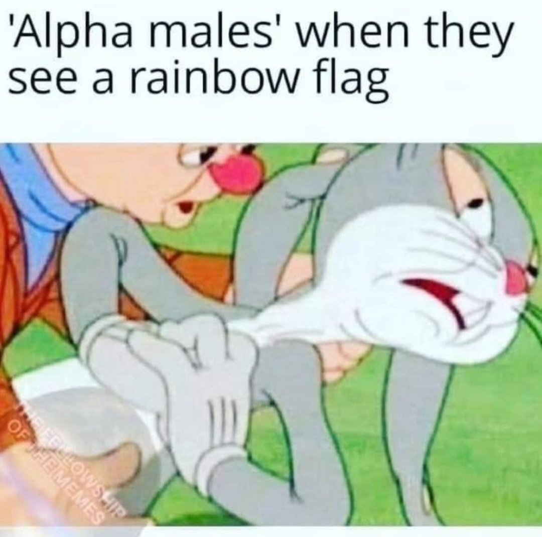 Carina_Amyth's tweet image. ✔️😂