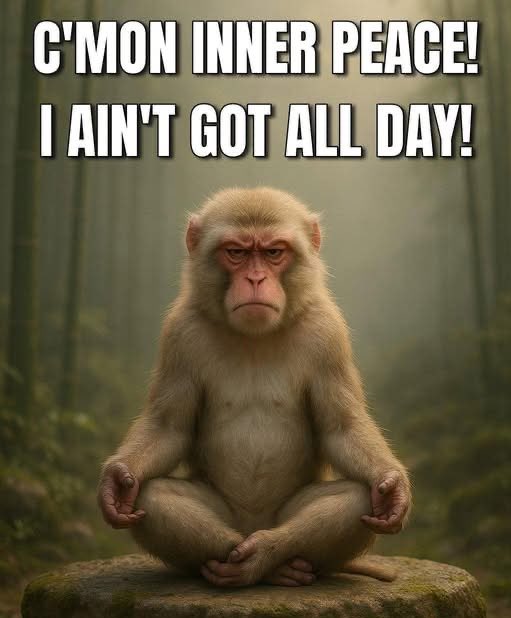 Northern Fella -aka AF (@andrefortierx) on Twitter photo 