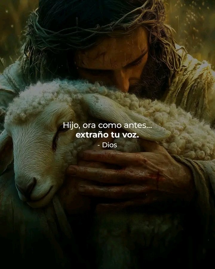 ¡Ánimo! No te canses de buscar a Dios en oración, El tiene el control de todo. 

Sin oración constante y permanente, jamás conoceremos a Dios profundamente.

#NoDejesDeOrar #Oración #DiosEscucha #DiosTeAma