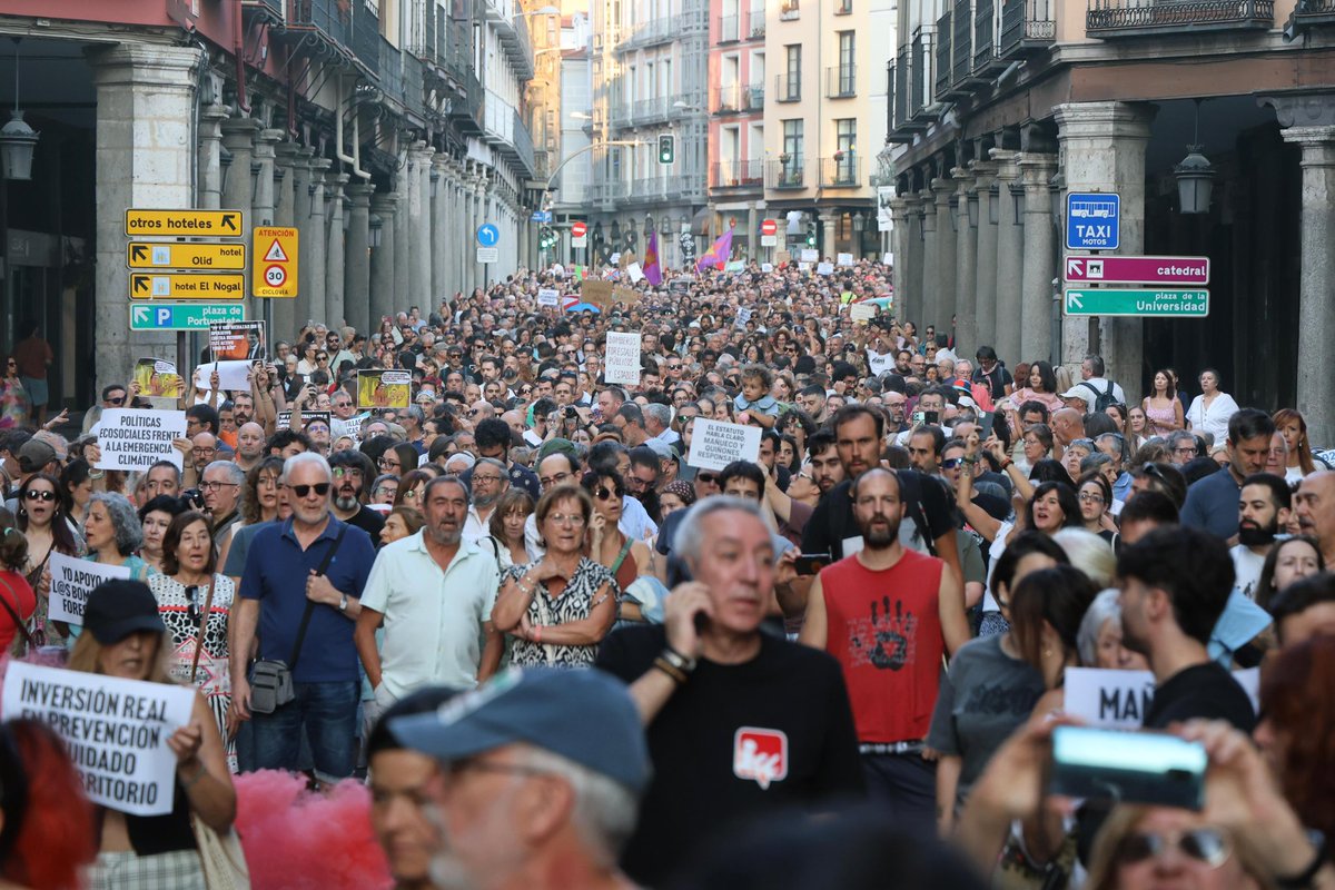 4 gatos en Valladolid… como en León el lunes….