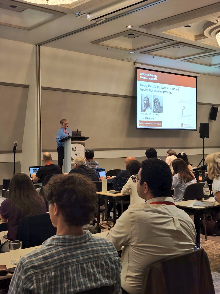 🎤 Next, a short talk by Caroline Alexander from the University of Wisconsin–Madison 
She’s giving us an overview of skin fat deposition and its insulation properties 🧥❄️

#ABC2025 #AdiposeBiology