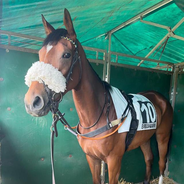 🚨Entry Alert🚨
Zauba runs for the team in the 10.21am (U.K. time) down at Chateaubriant.

Good luck to all owners involved