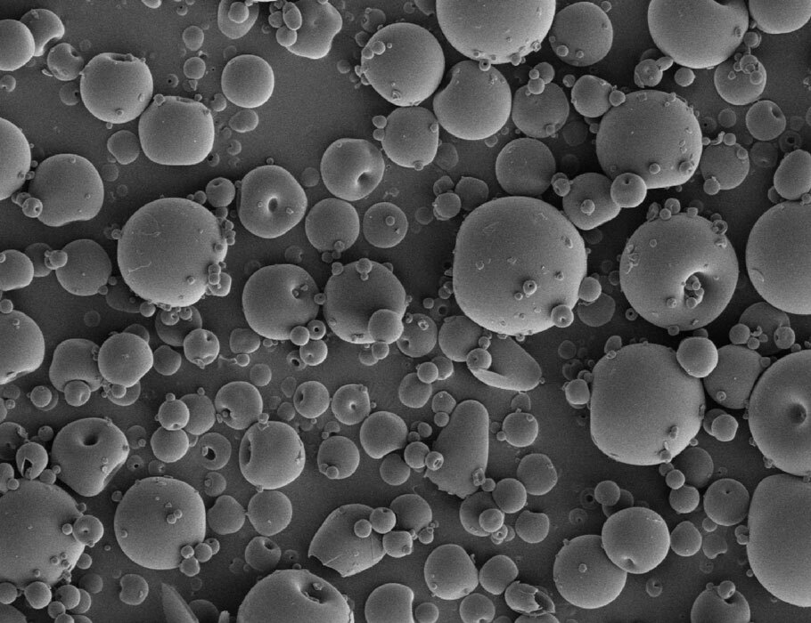 Waggoner Lab tweet media