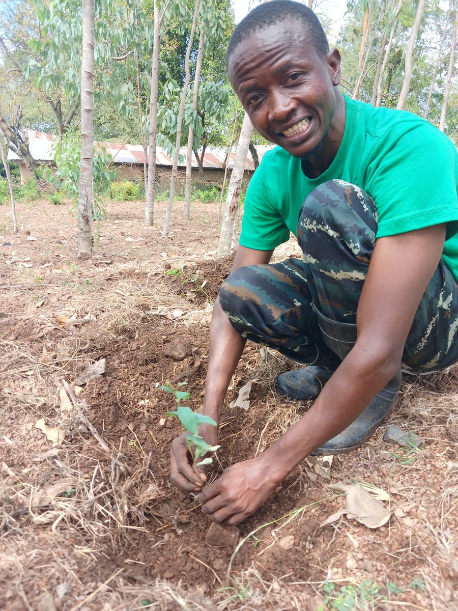 Kawagumba's tweet photo. I used to tell my community that, reason why im Touching tree every day, because it motivated me for planting trees 🌳 so Touching trees is very important to me.#Touchtree.#Treegen. https://t.co/Cjsty1nEmG