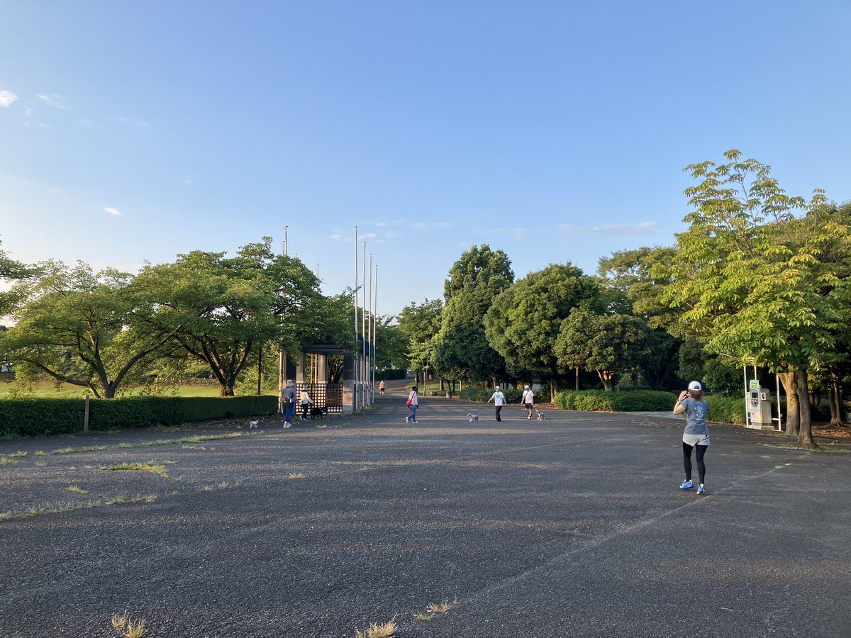 OpenSim_PT's tweet image. 朝散歩に出て来ました。
まだこの時間は涼しい感じです
昨日は福井先生のところにお邪魔する時用にスライド160枚作りました💦