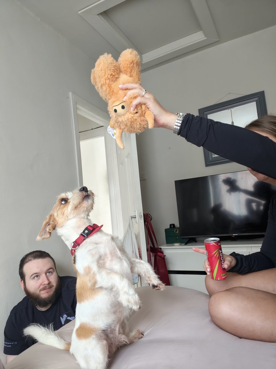 When ya just want to sleep but get all the love from every member of the household