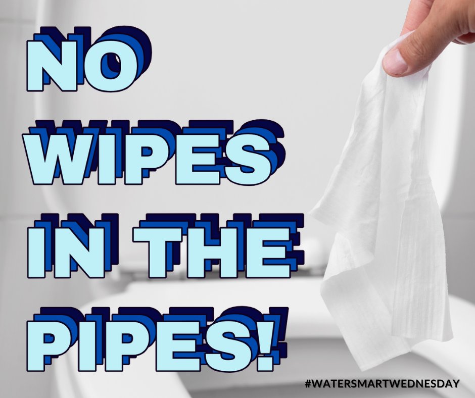 gp_tx's tweet photo. Donβt Flush ANY Wipes! When using flushable wipes, please throw them into the trash, and do not flush them down the toilet. This keeps the wastewater lines clear and helps avoid costly clog removal at your home and the wastewater plant. π§ #WaterSmartWednesday https://t.co/IKZvrDAdTi