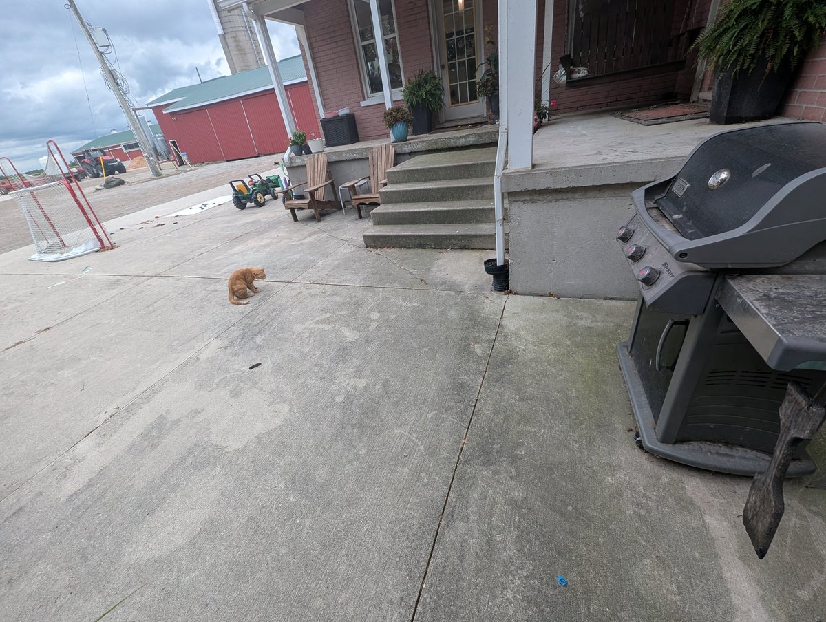 Erik Kennes🇨🇦🥛🐄 tweet media