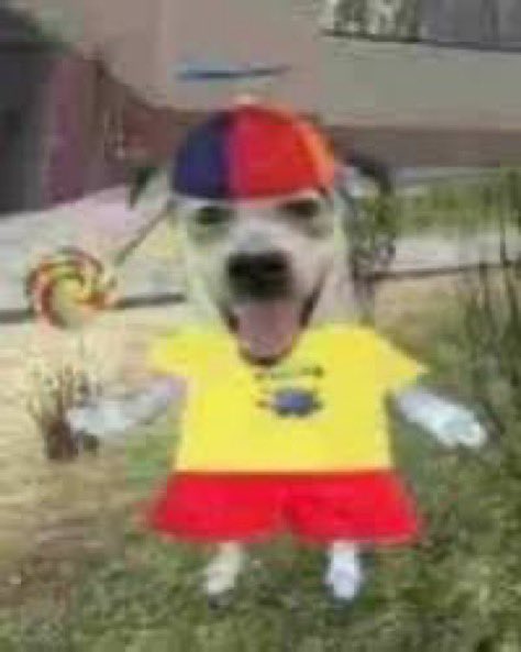 ree 🌖 (@reesketching) on Twitter photo 