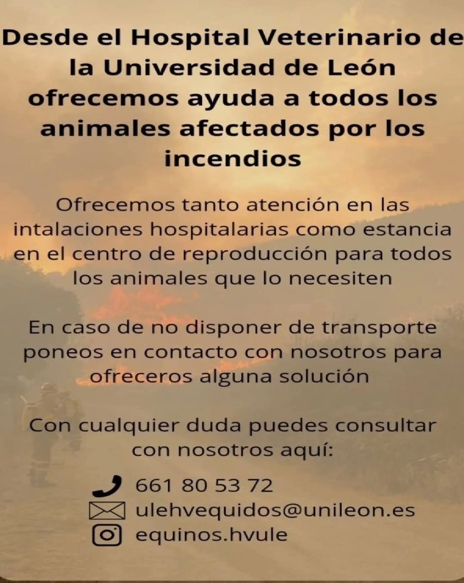 Valle de Valdeón (@vallevaldeon) on Twitter photo El Hospital Veterinario de la Universidad de León ofrece ayuda y atención a todos los animales afectados por los incendios. 
#Leonesp #iiff El Hospital Veterinario de la Universidad de León ofrece ayuda y atención a todos los animales afectados por los incendios. 
#Leonesp #iiff