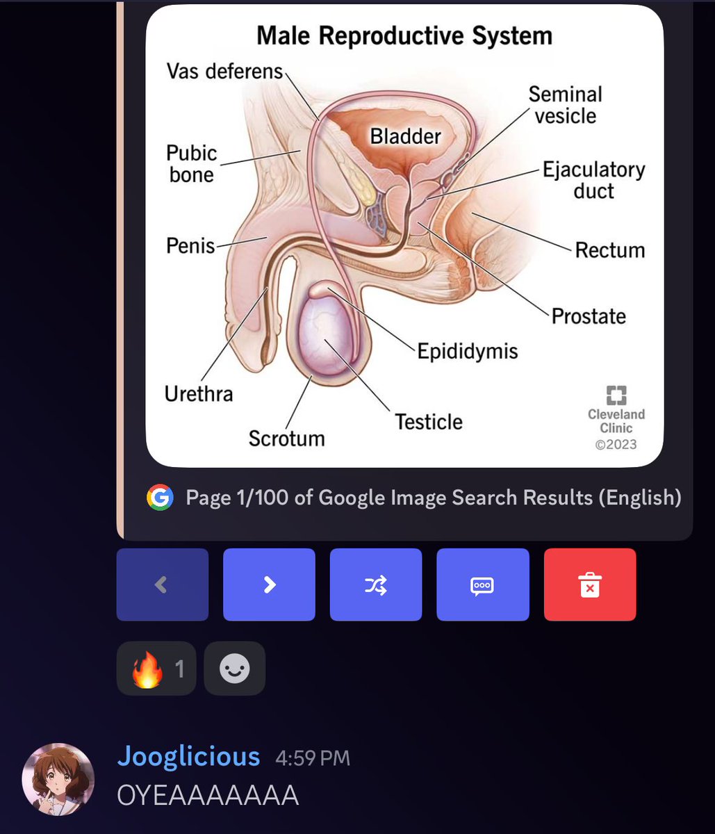 NCHollysServer's tweet photo. male anatomy warning https://t.co/hgxv7IU8du