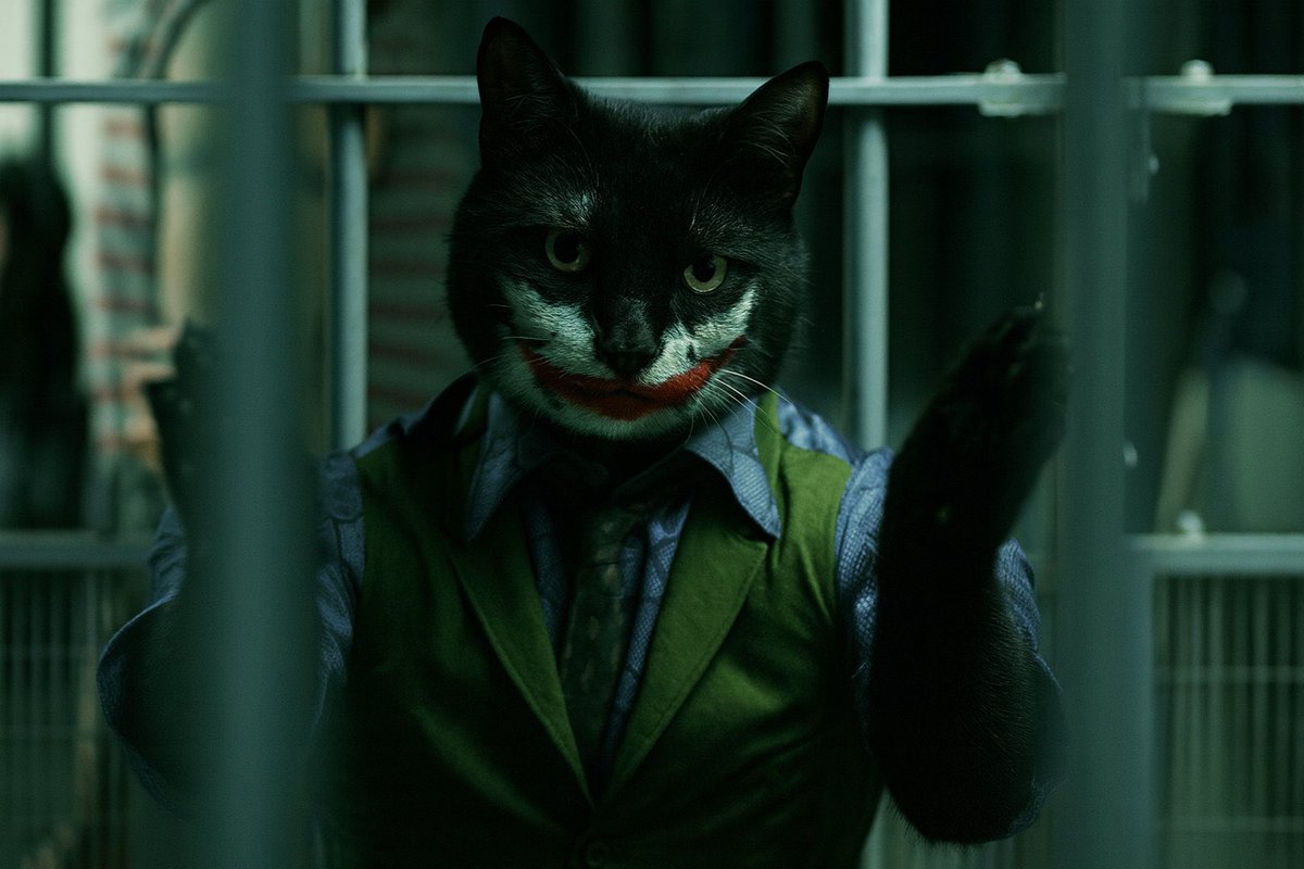 Gemow ⏳⏳👀
The cat keeps meowing. 
Remember, the cat has more than nine lives. 
Time is running out.⏳
The cat comes back stronger and meows louder🚀
Then you will know what to do before it is too late.
Meow 💪🚀