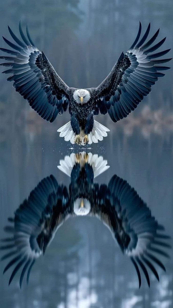 Dünüm 
Bu günüm 
Yarınım 

✊🏿🦅

#BeşiktaşınMaçıVar
