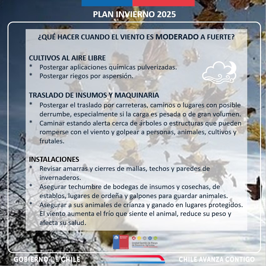 🌧️Ante el pronóstico de lluvias para los próximos días en distintos puntos del país, compartimos estas recomendaciones para el agro en caso de lluvias y vientos.
<a href="/INDAP_Chile/">INDAP_Chile</a>
<a href="/MinagriCL/">Ministerio de Agricultura de Chile 🇨🇱</a>
<a href="/Sub_Agricultura/">Subsecretaría de Agricultura</a>